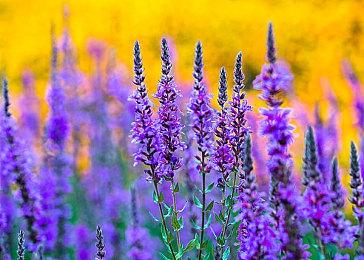 Steam第三人称射击游戏节今日开启 《最后的生还者》等多款大作骨折出售